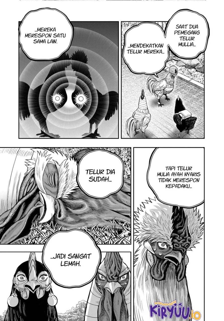 Rooster Fighter Chapter 34