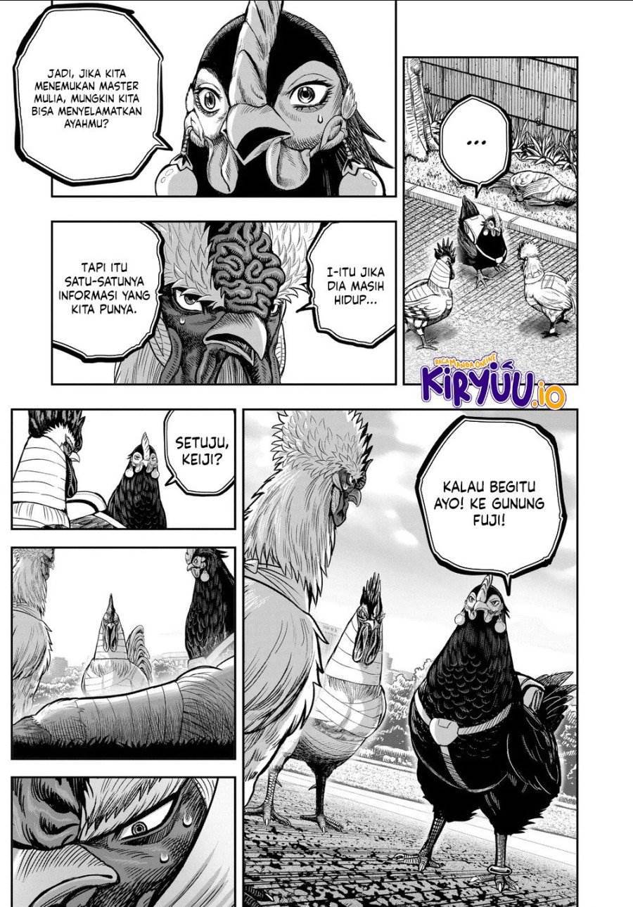 Rooster Fighter Chapter 35