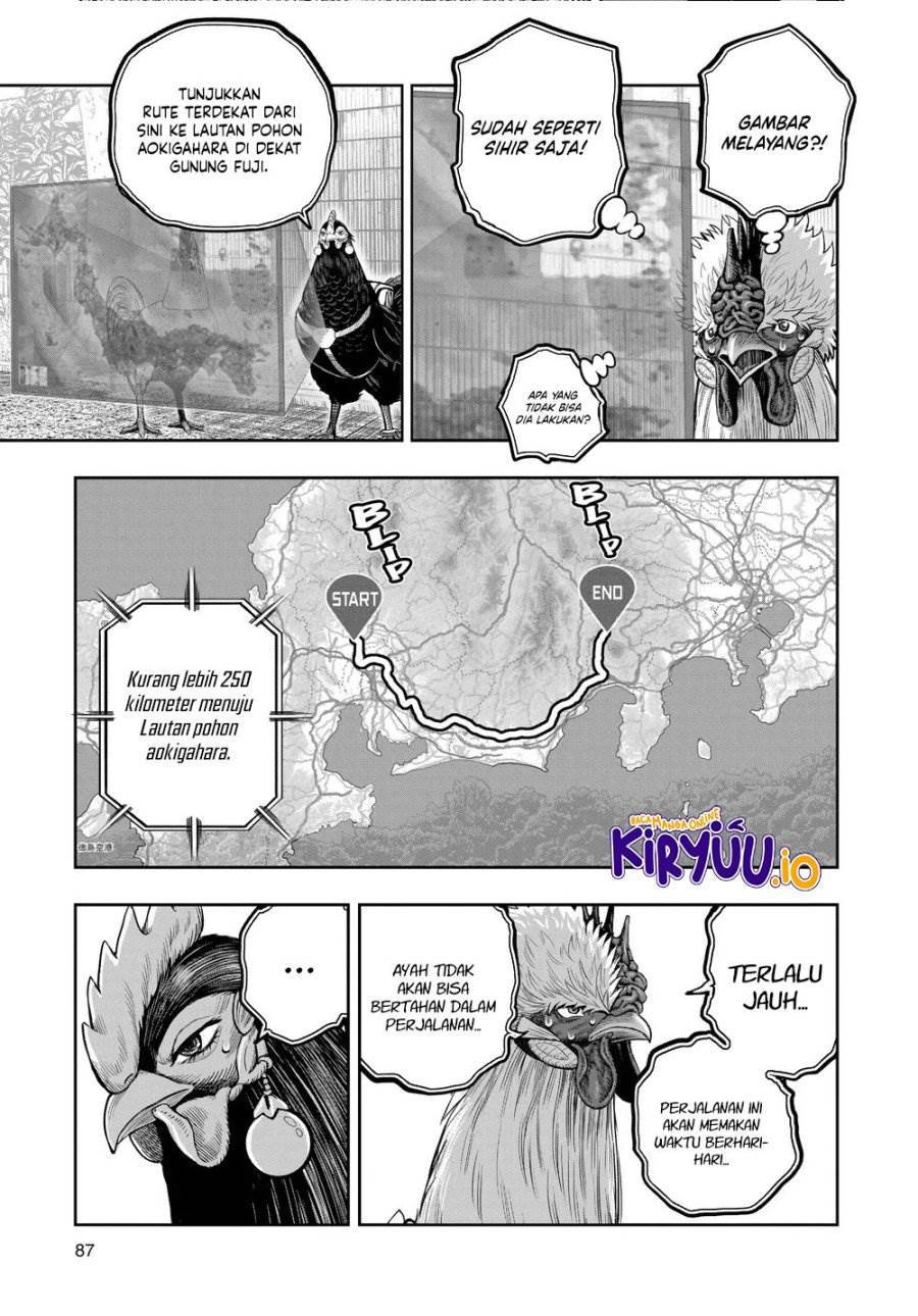 Rooster Fighter Chapter 35