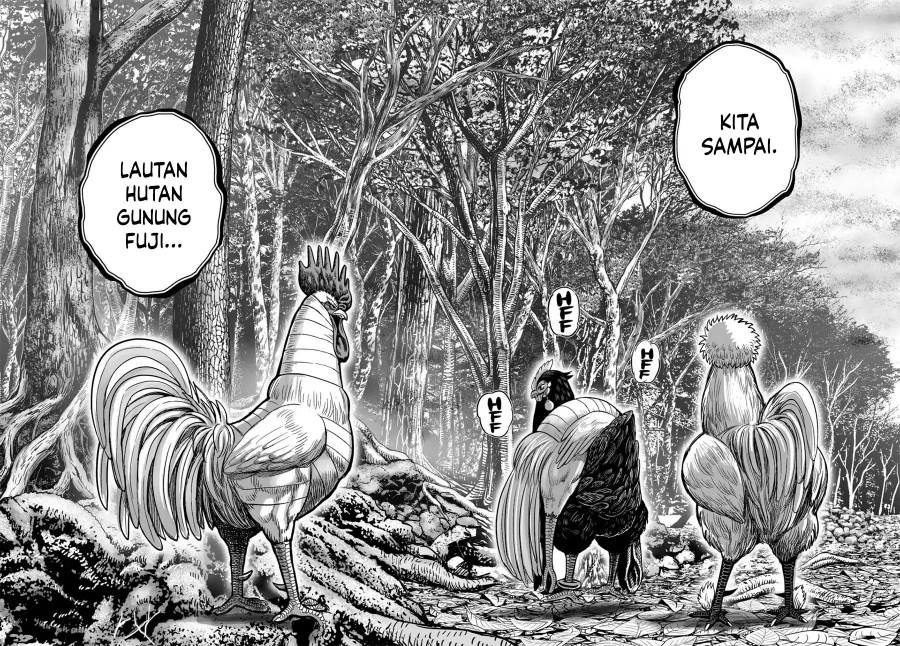 Rooster Fighter Chapter 36