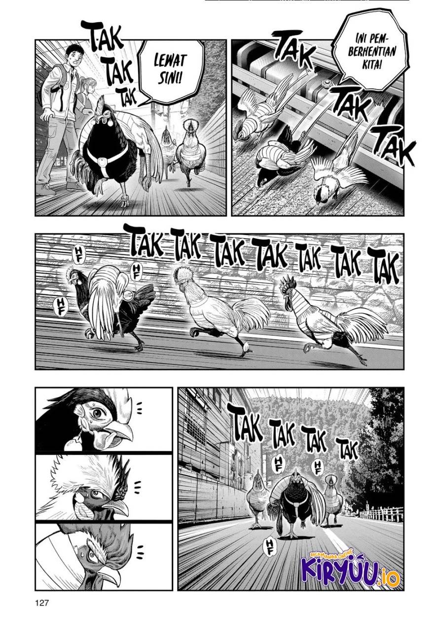 Rooster Fighter Chapter 36