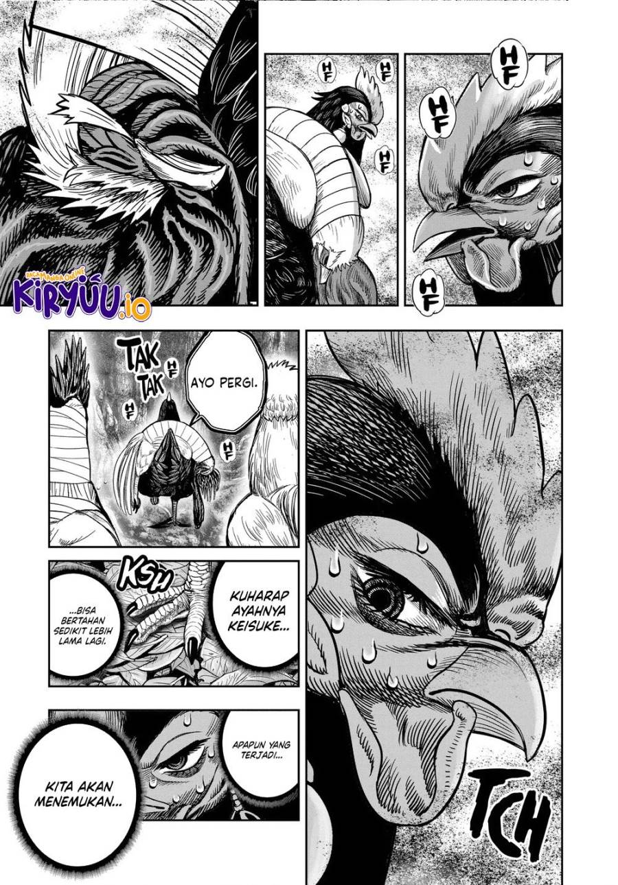 Rooster Fighter Chapter 36