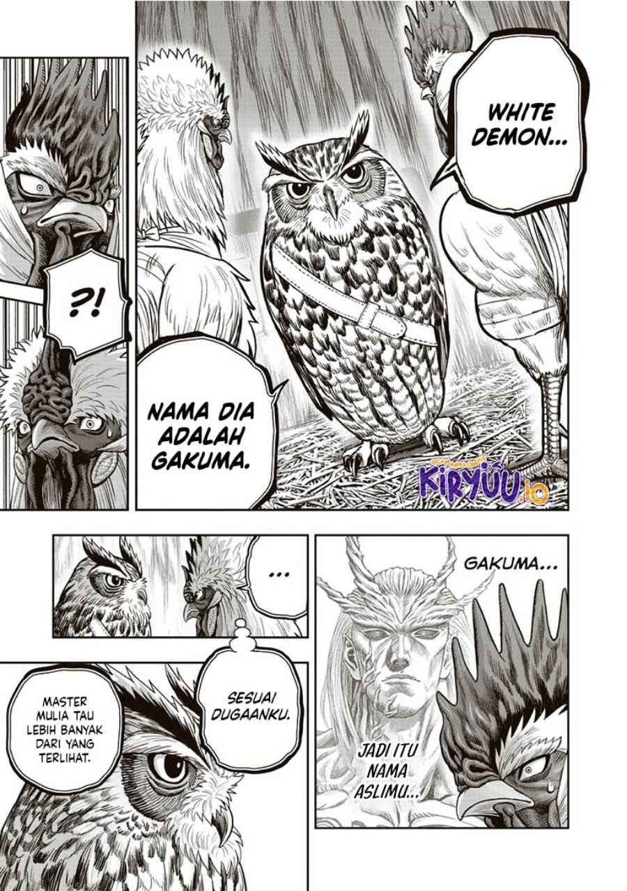 Rooster Fighter Chapter 38