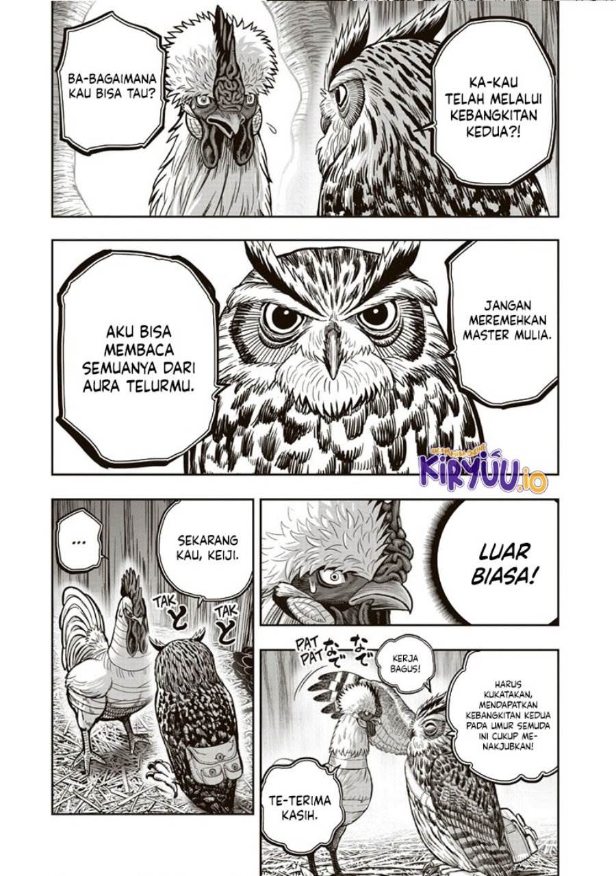 Rooster Fighter Chapter 38