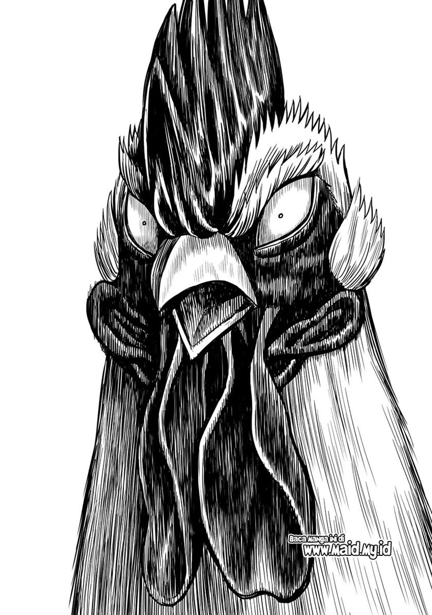 Rooster Fighter Chapter 04