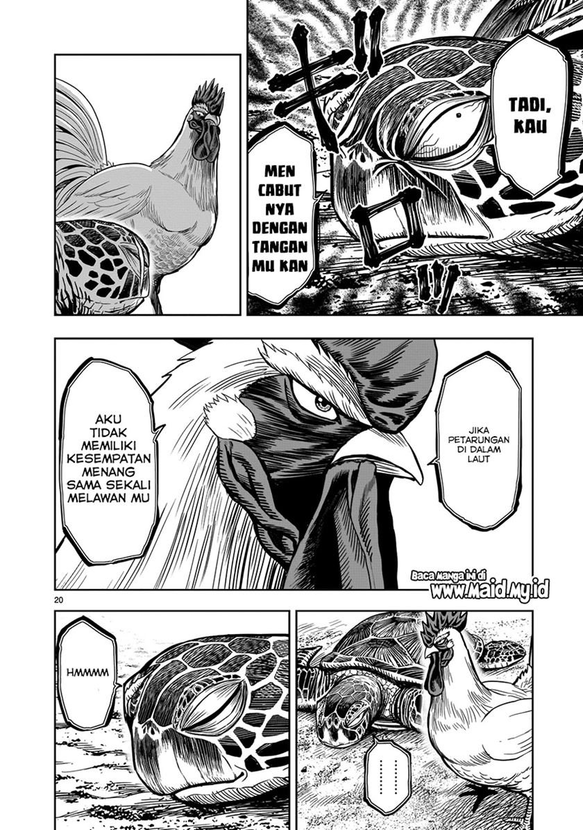 Rooster Fighter Chapter 04