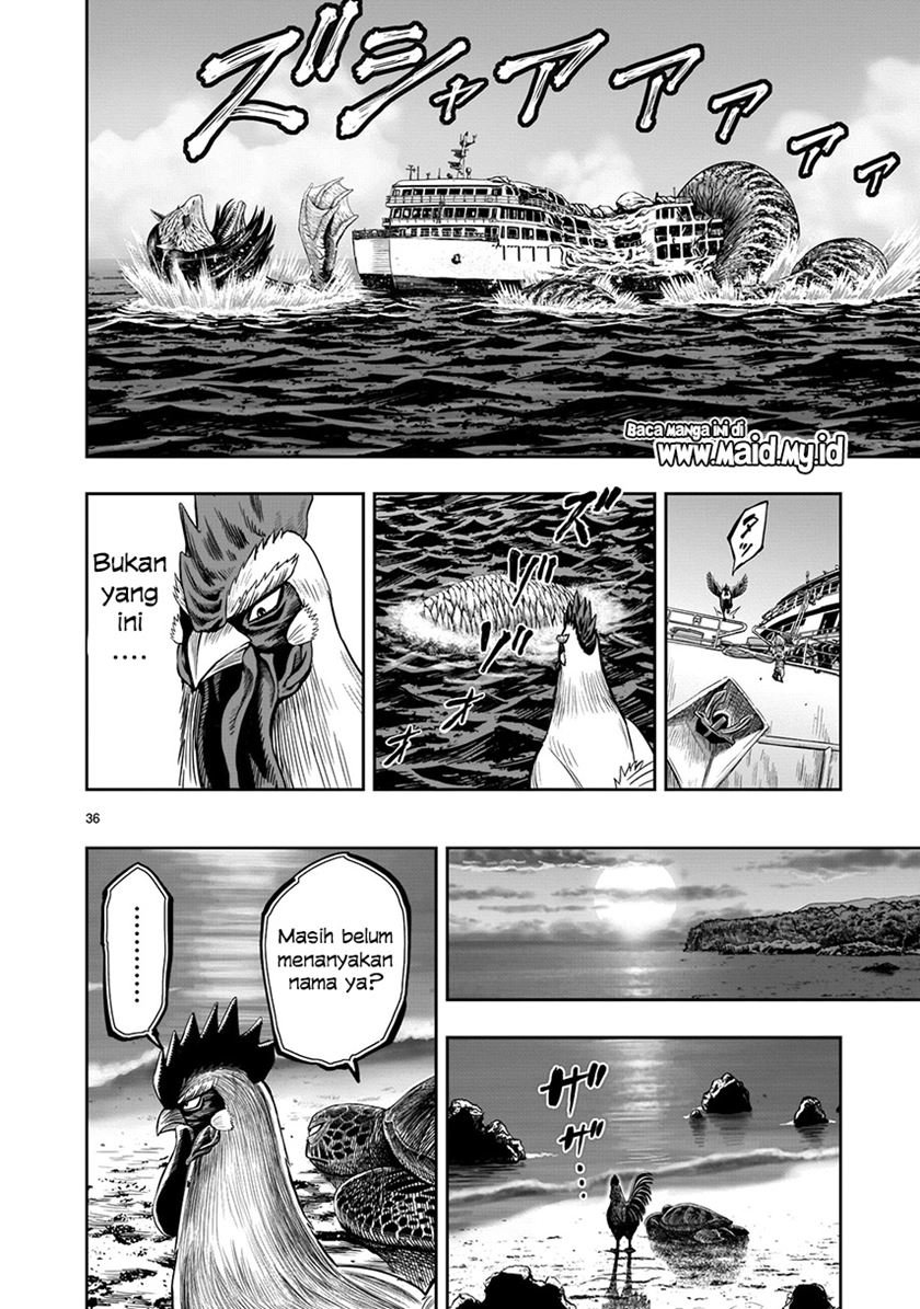 Rooster Fighter Chapter 04
