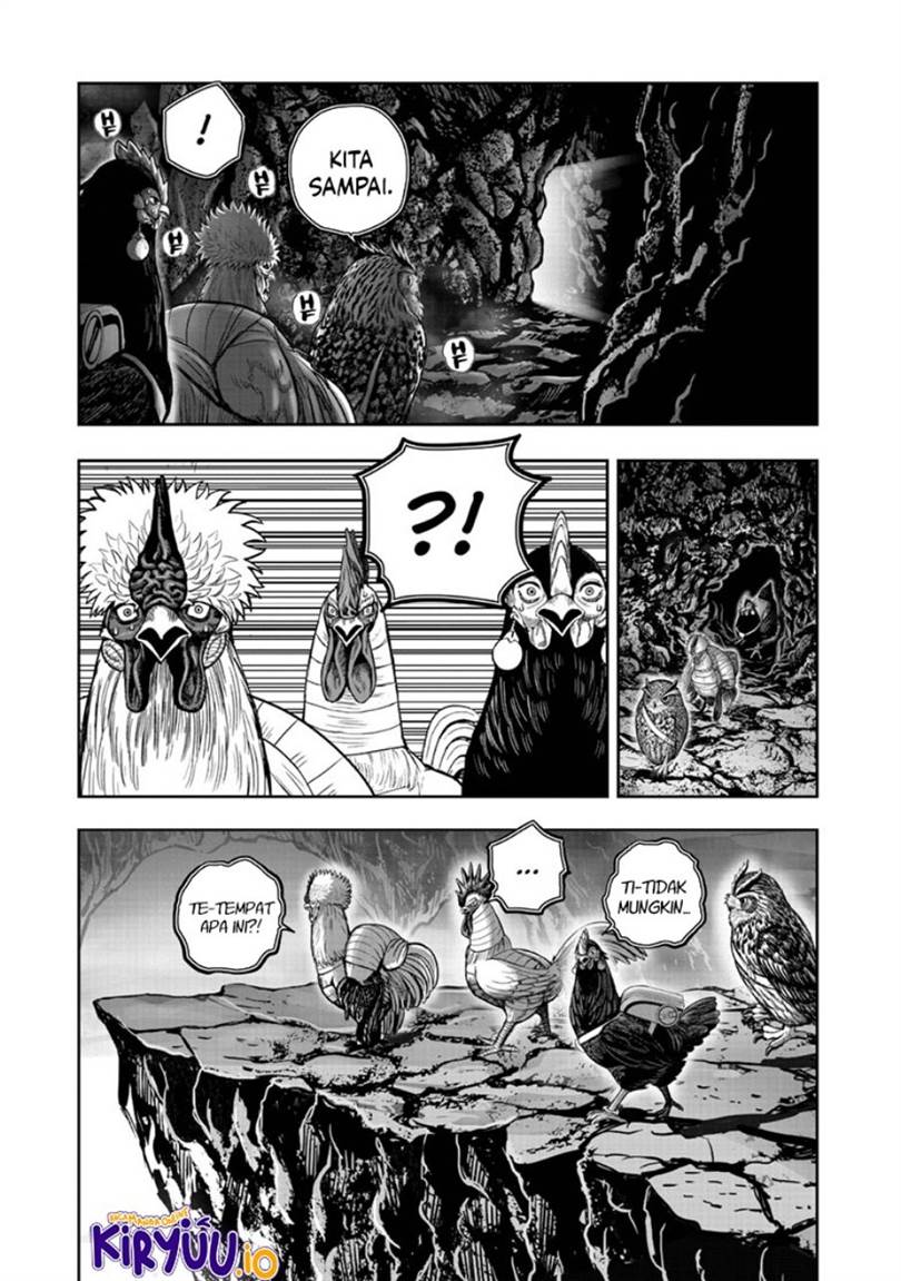 Rooster Fighter Chapter 43