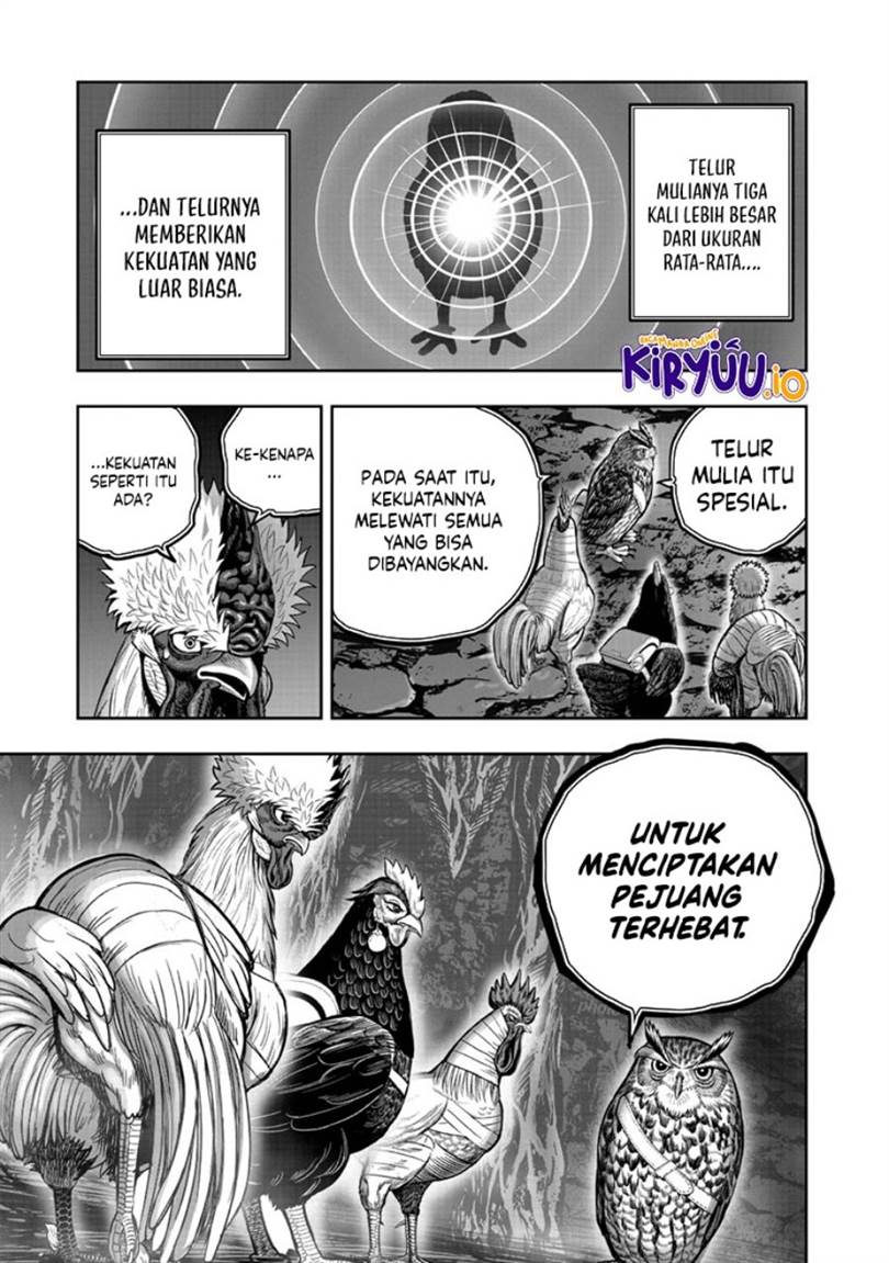 Rooster Fighter Chapter 43