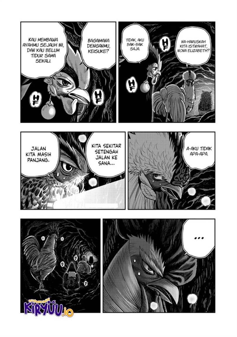 Rooster Fighter Chapter 43