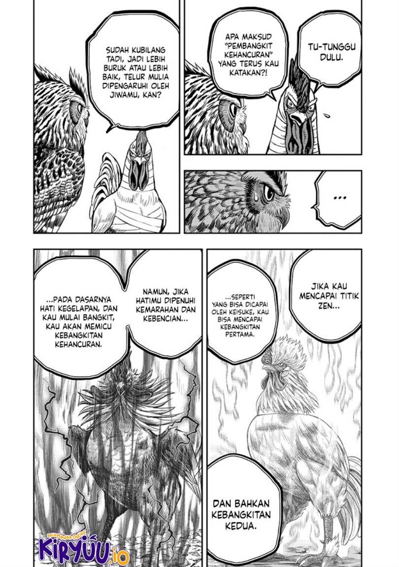 Rooster Fighter Chapter 47