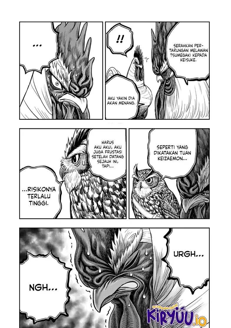 Rooster Fighter Chapter 48
