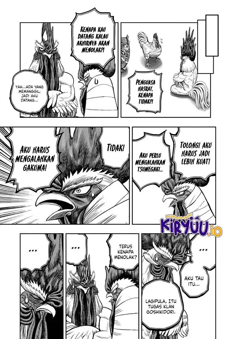 Rooster Fighter Chapter 48