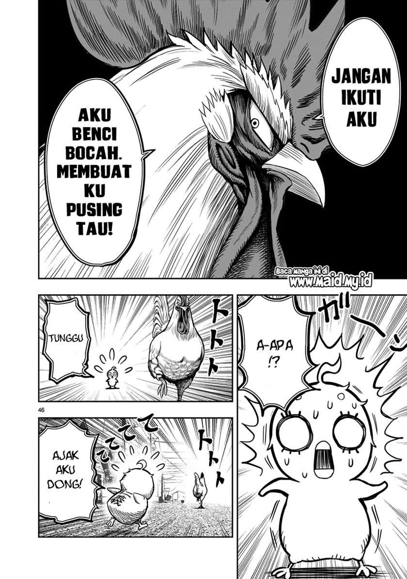 Rooster Fighter Chapter 05