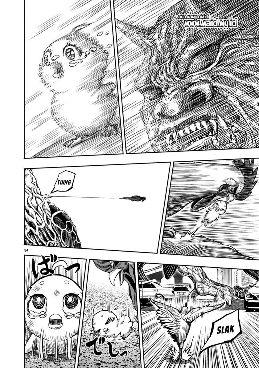 Rooster Fighter Chapter 05