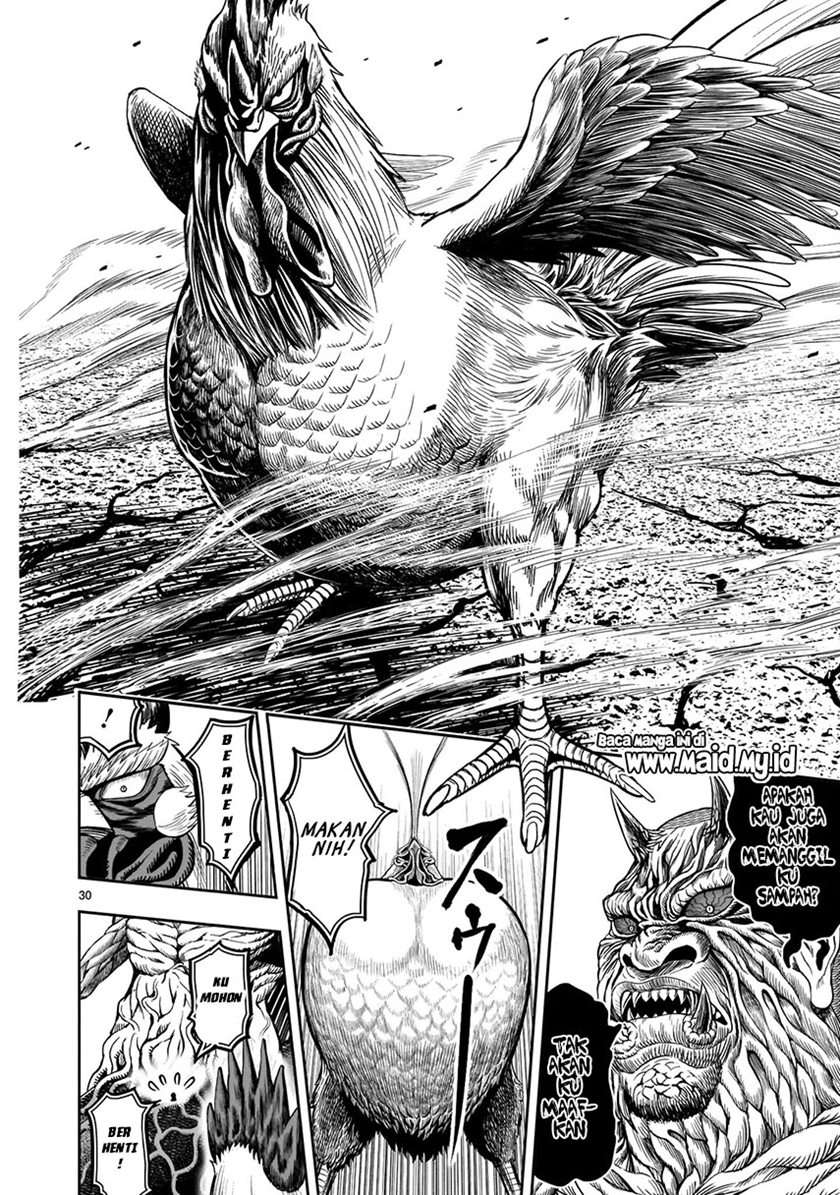 Rooster Fighter Chapter 05
