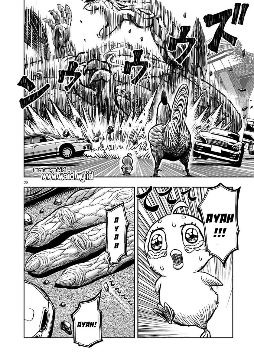 Rooster Fighter Chapter 05
