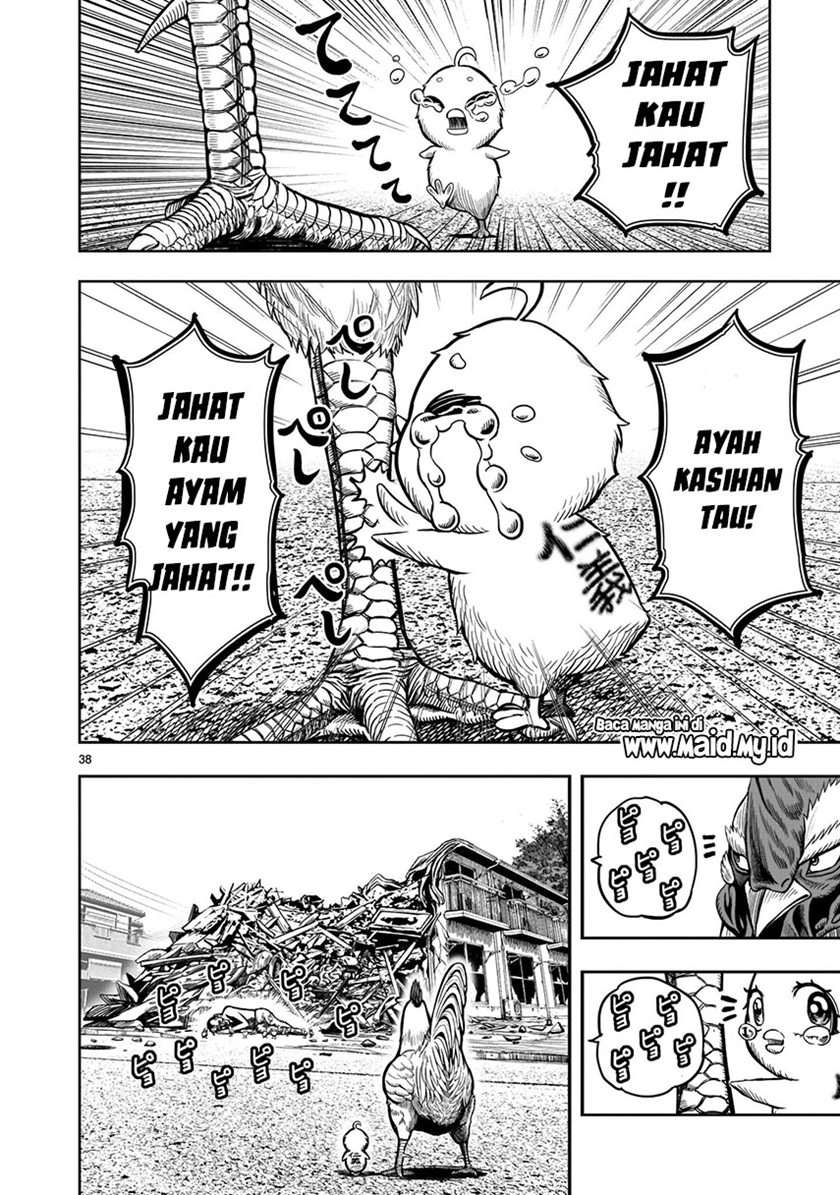 Rooster Fighter Chapter 05