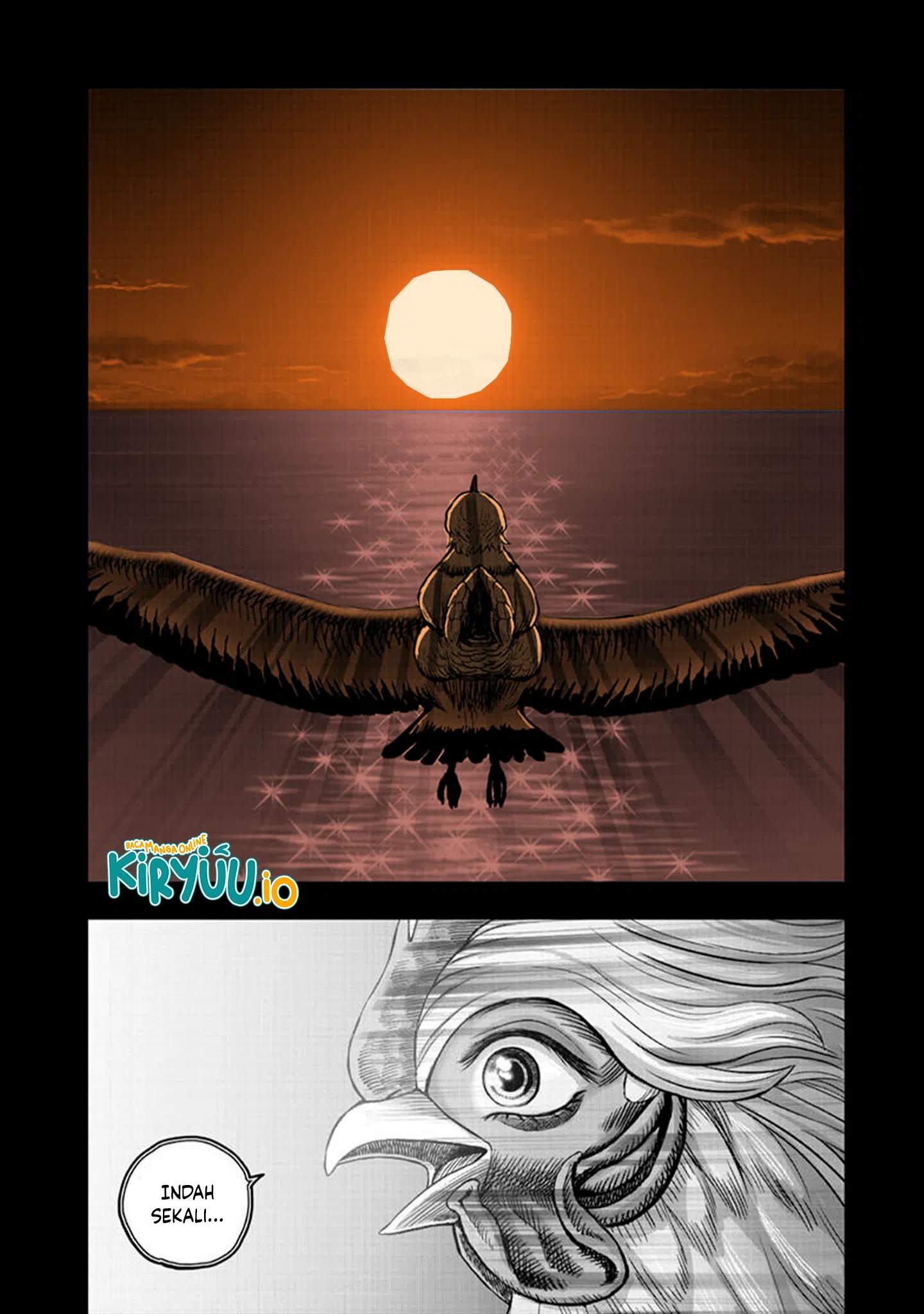 Rooster Fighter Chapter 51