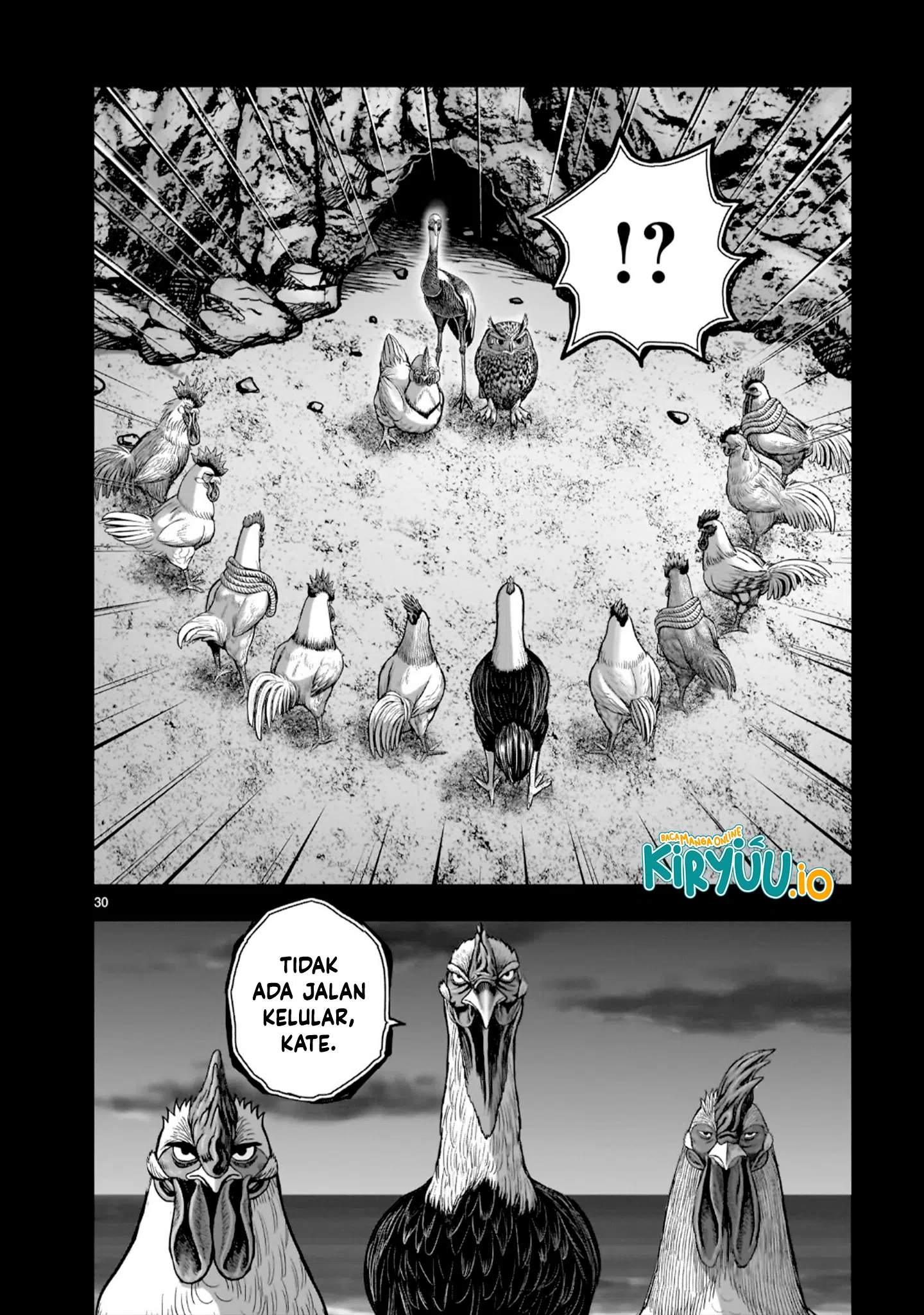 Rooster Fighter Chapter 52