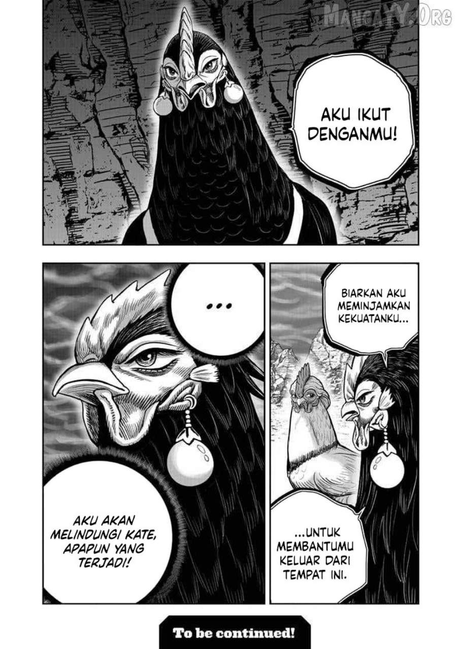 Rooster Fighter Chapter 55