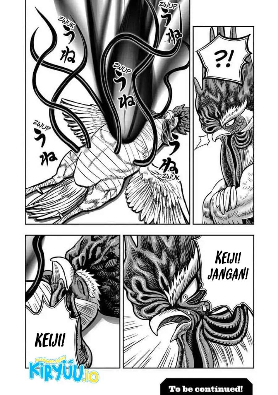 Rooster Fighter Chapter 56