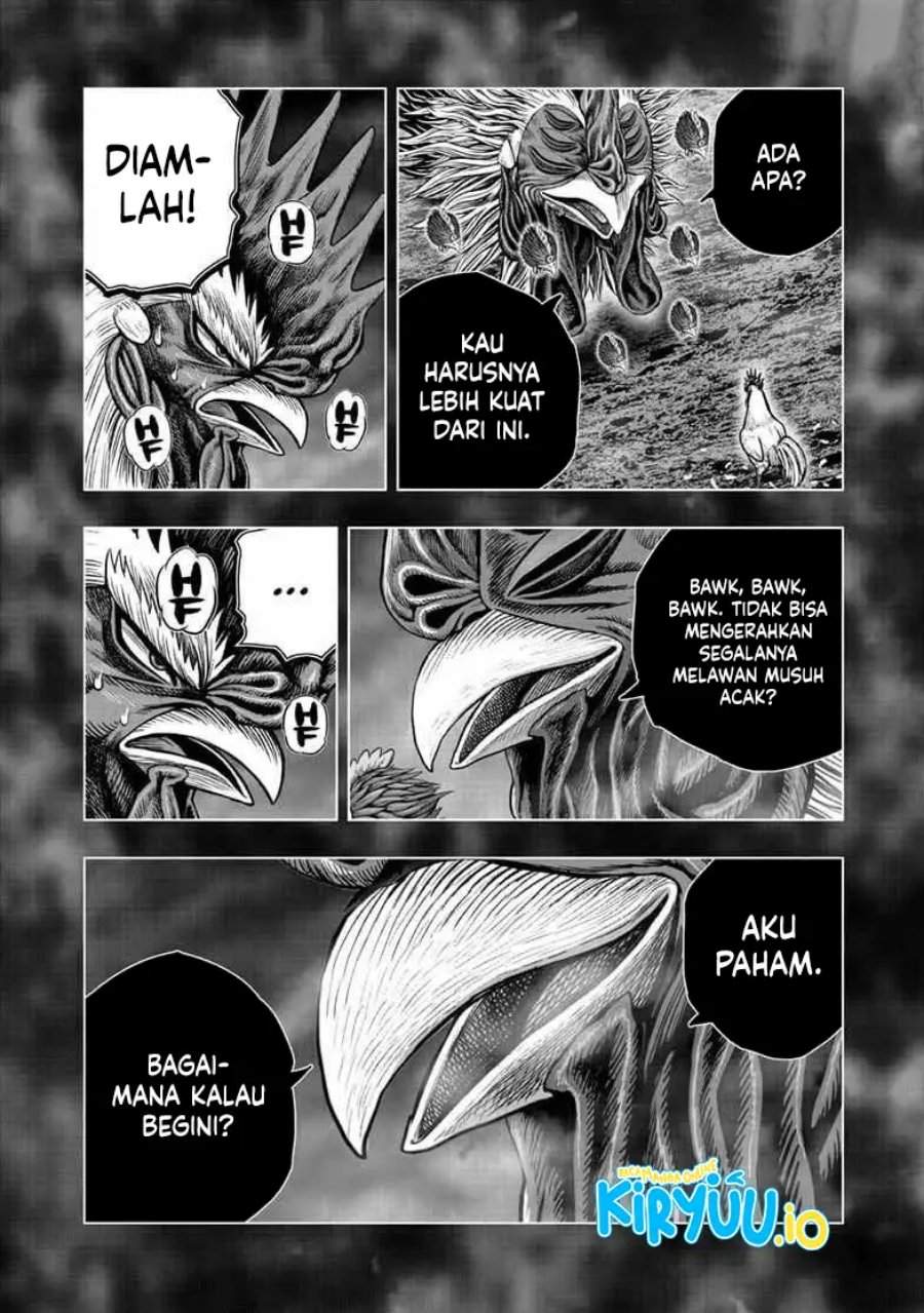 Rooster Fighter Chapter 56