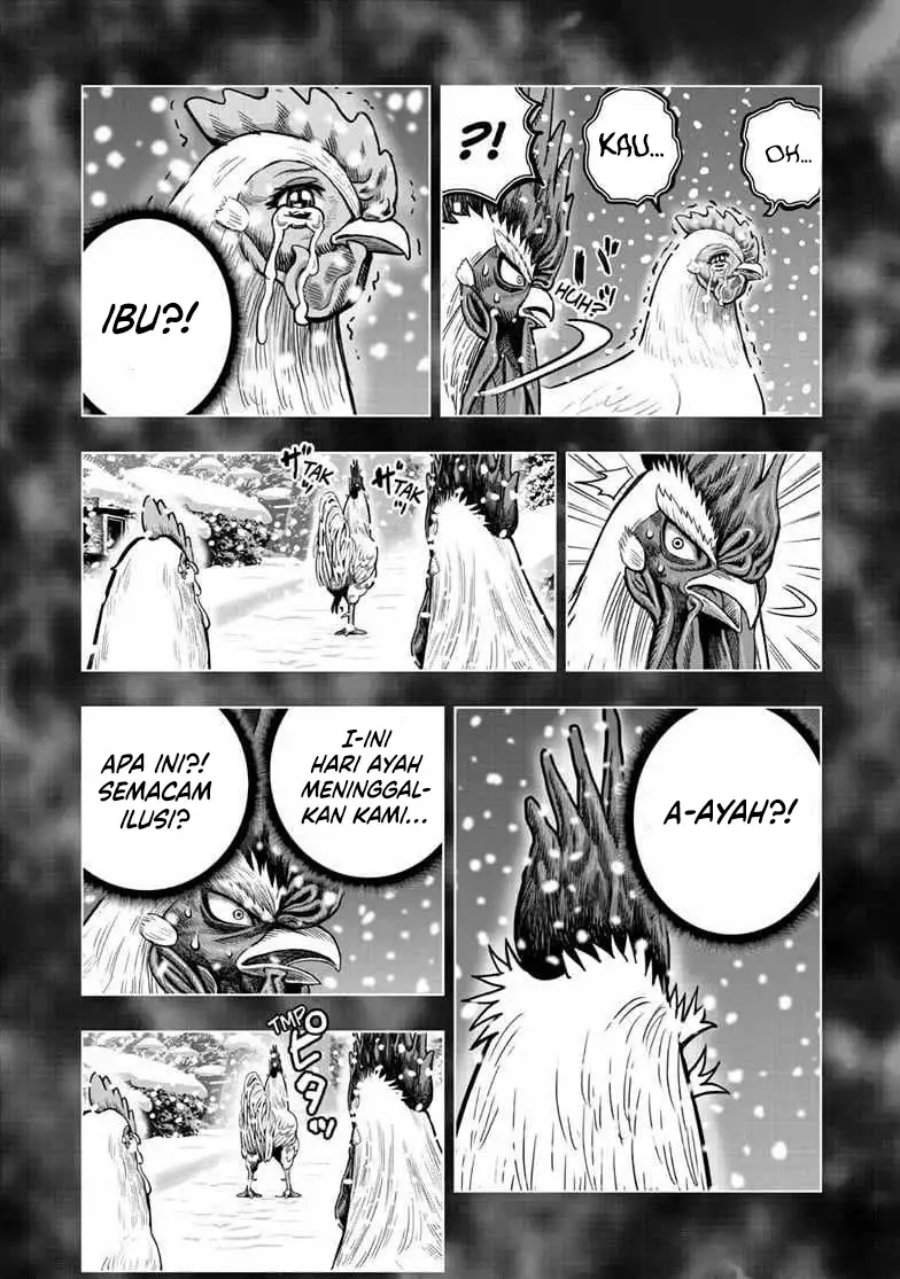 Rooster Fighter Chapter 56