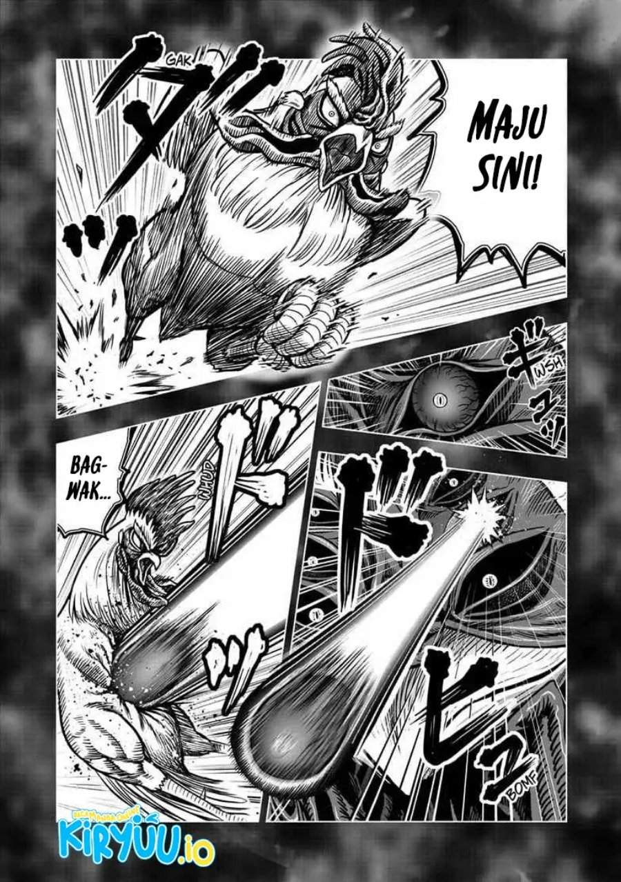 Rooster Fighter Chapter 56