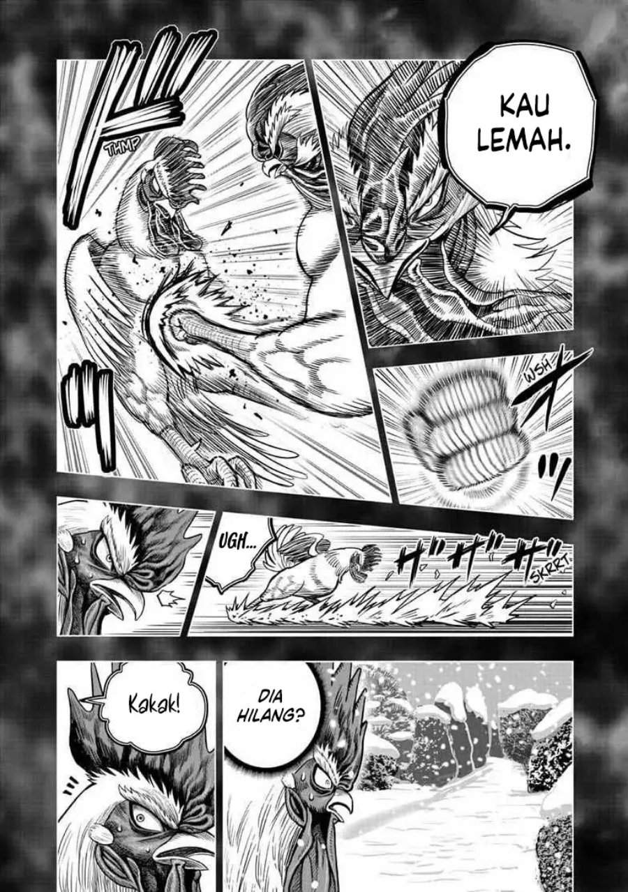 Rooster Fighter Chapter 56