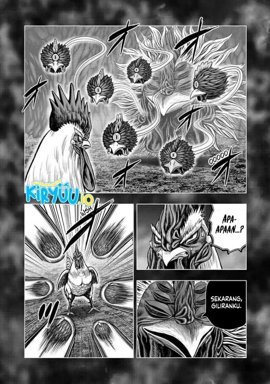 Rooster Fighter Chapter 56