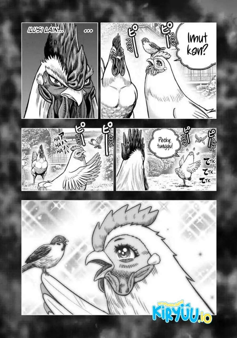 Rooster Fighter Chapter 56
