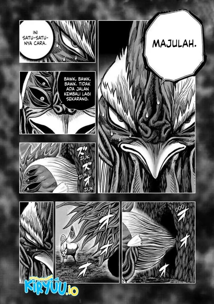 Rooster Fighter Chapter 56
