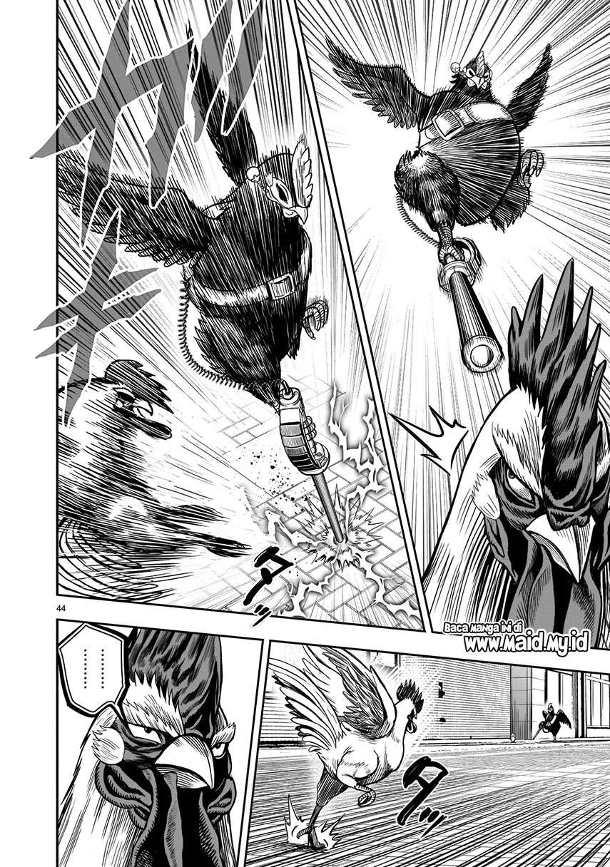 Rooster Fighter Chapter 06