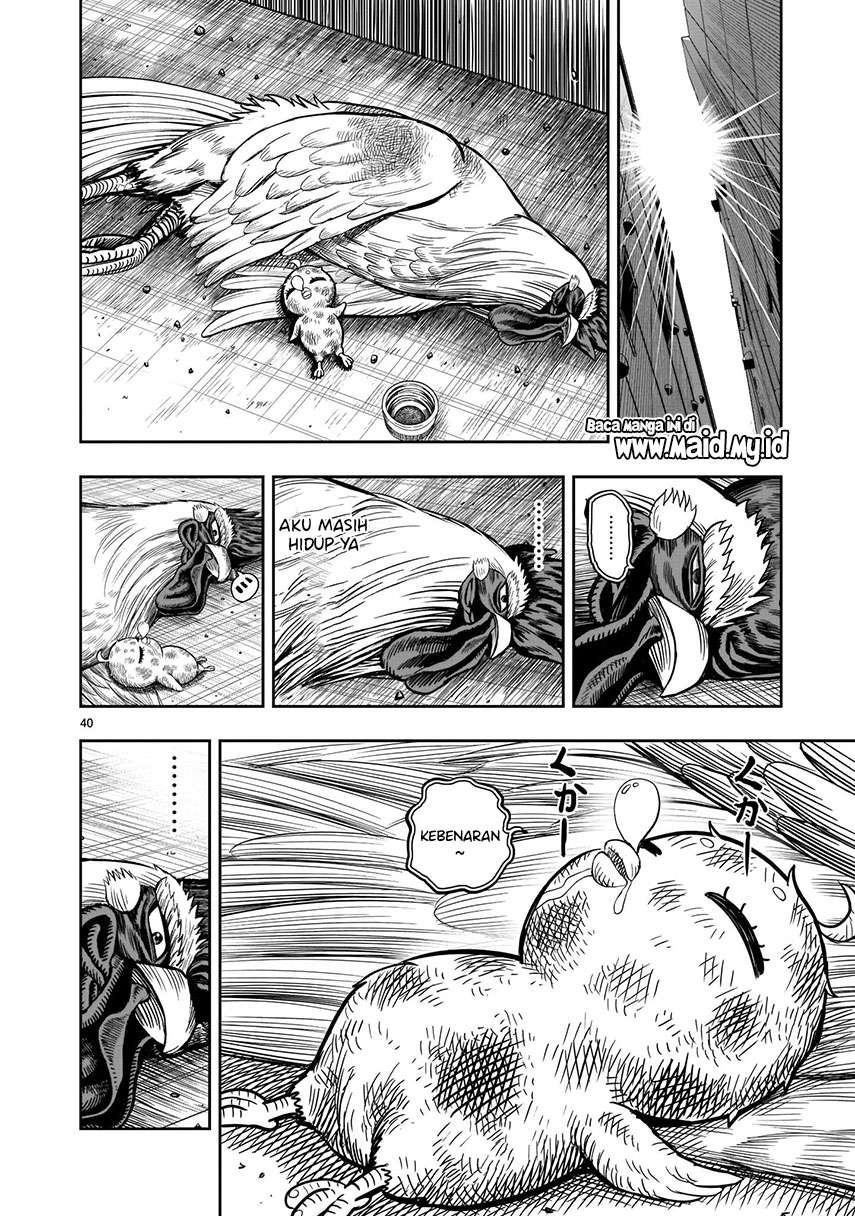 Rooster Fighter Chapter 06