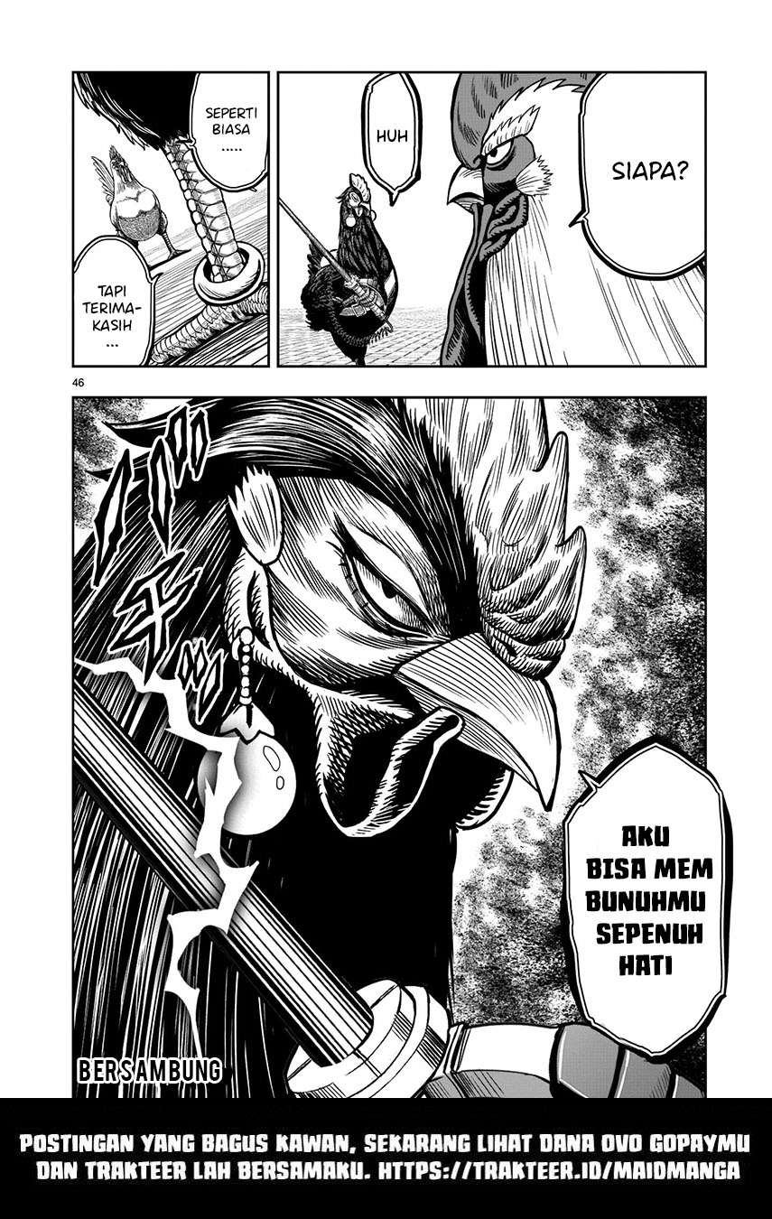 Rooster Fighter Chapter 06
