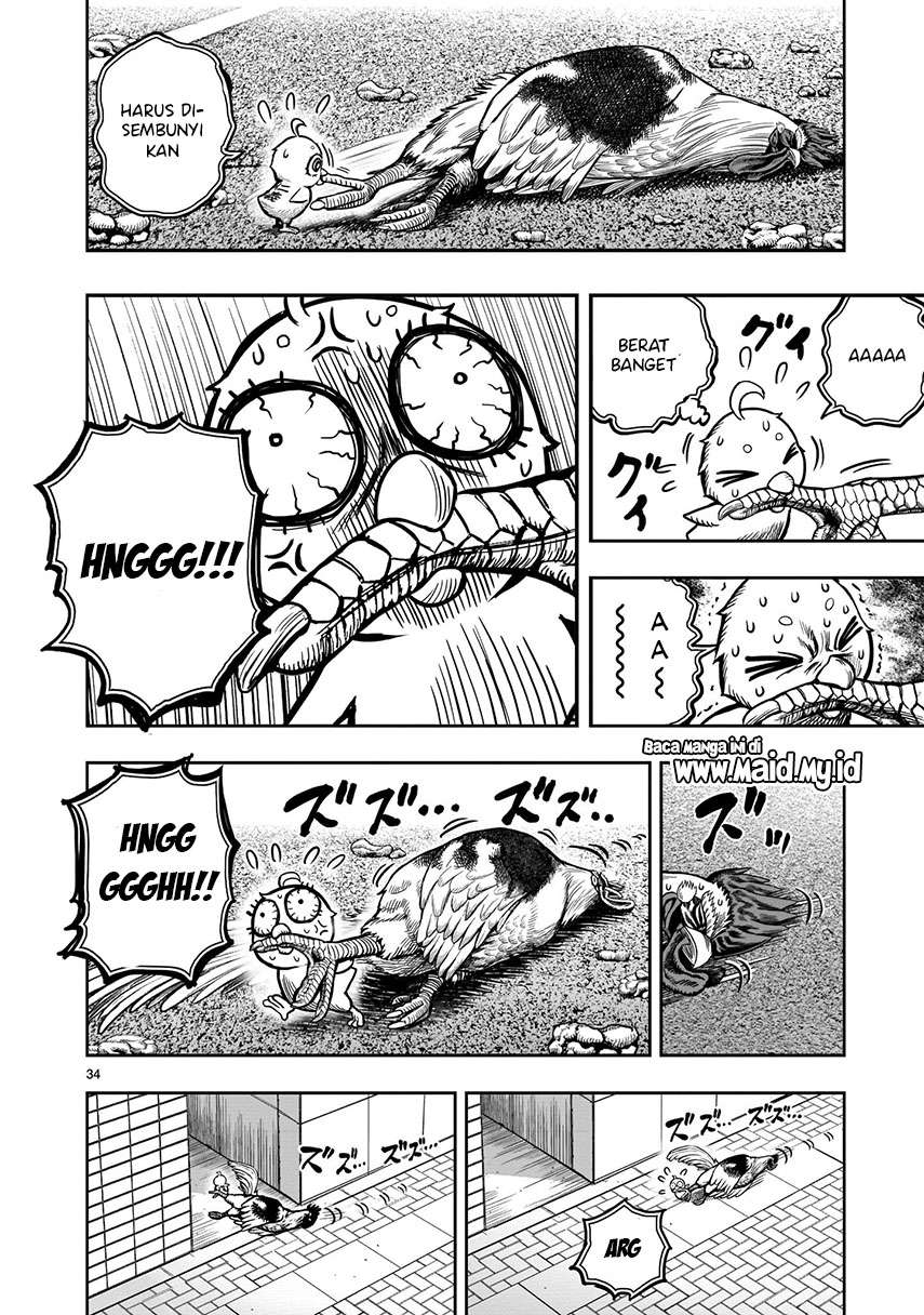 Rooster Fighter Chapter 06