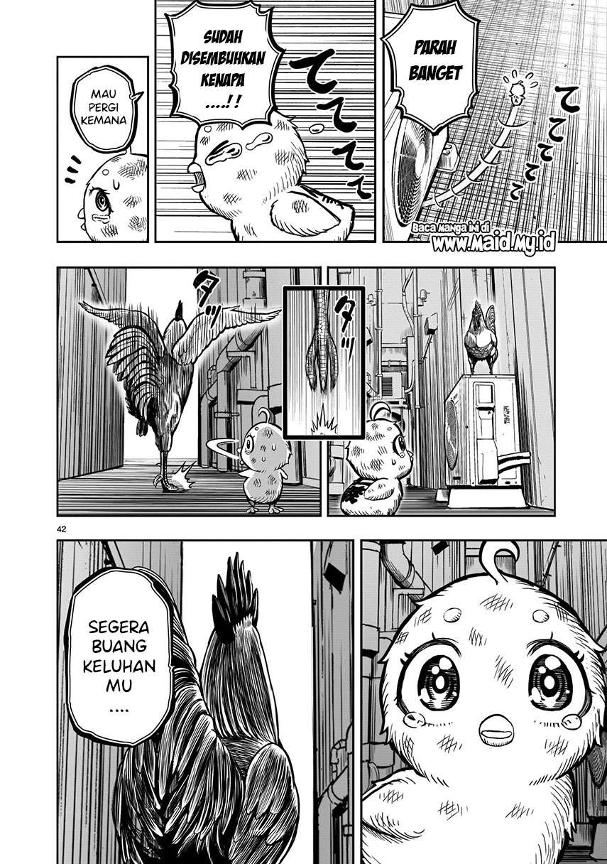 Rooster Fighter Chapter 06