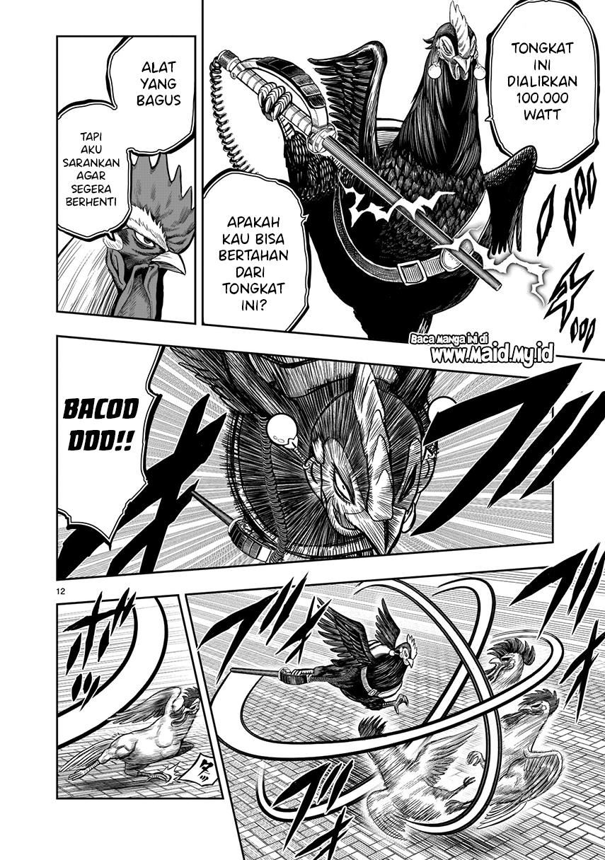 Rooster Fighter Chapter 07