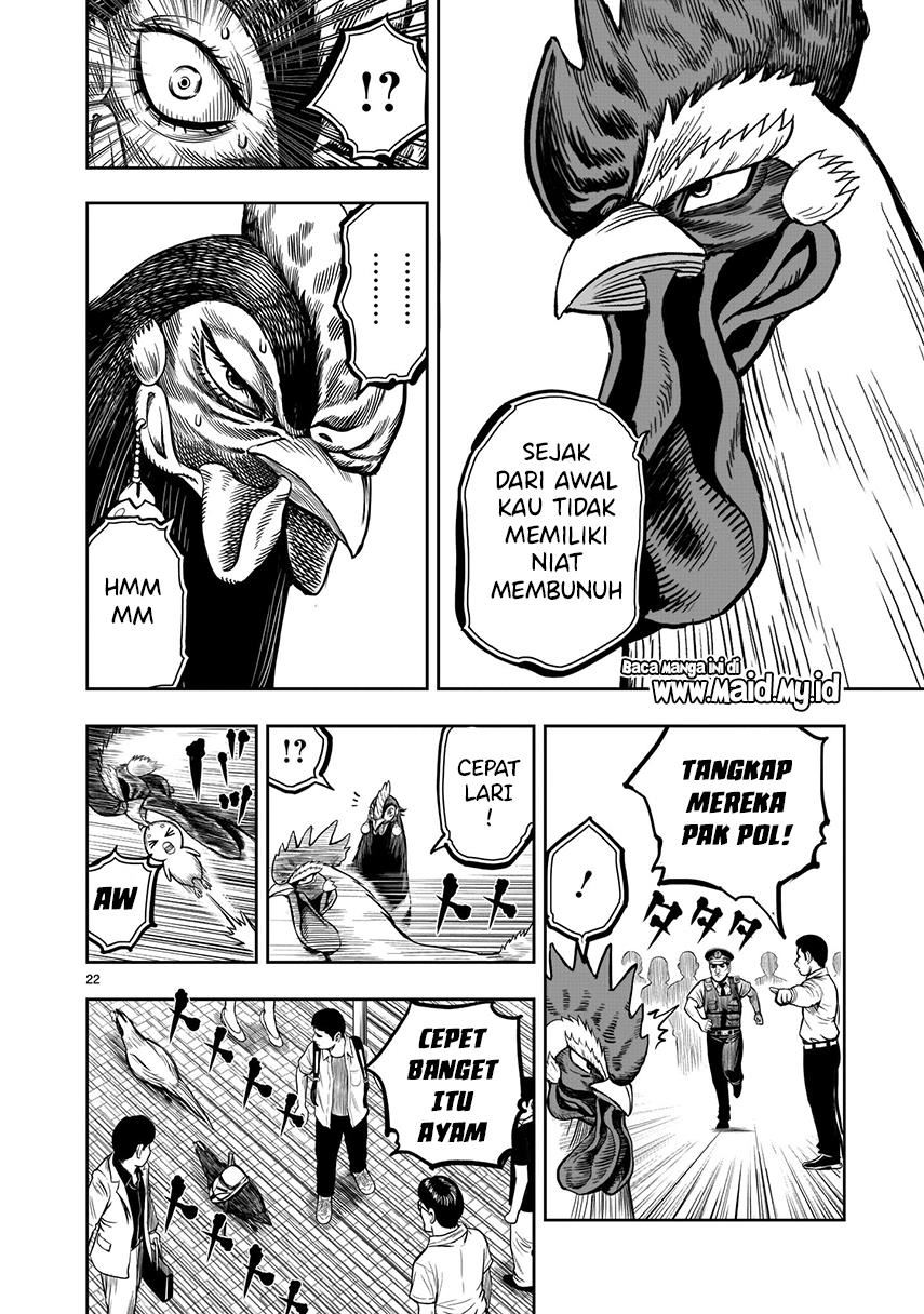 Rooster Fighter Chapter 07