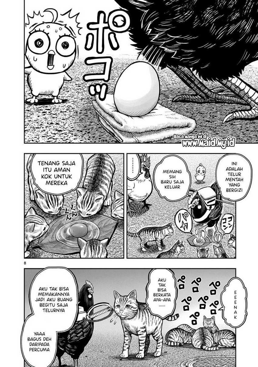 Rooster Fighter Chapter 09