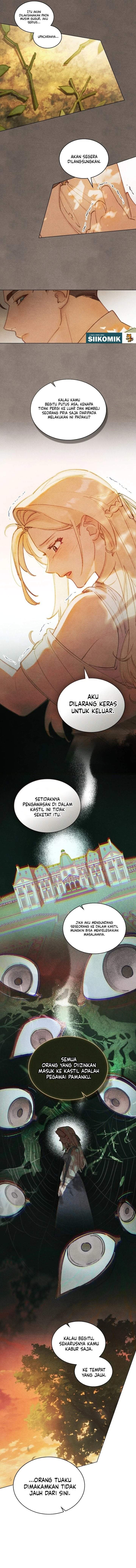 
              Garden of May             Chapter 6