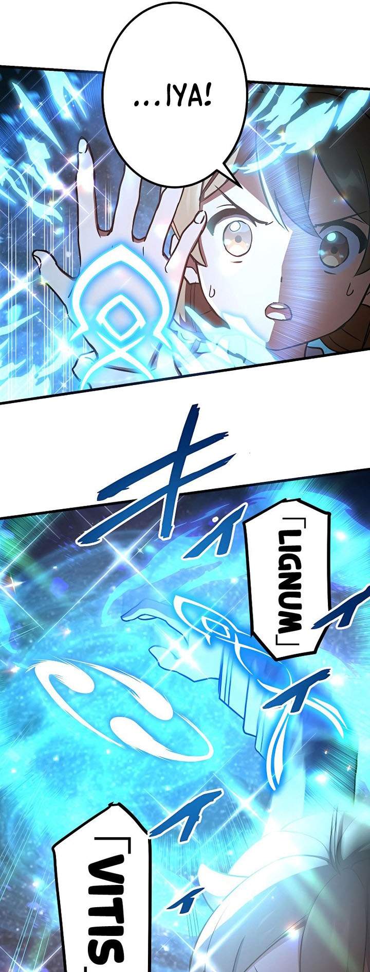 
              Demons’ Crest             Chapter 11