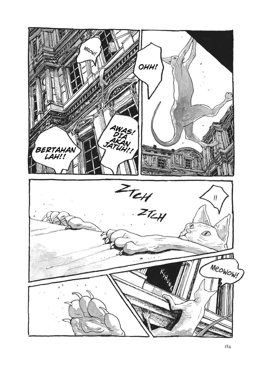 
              Louvre no Neko             Chapter 8