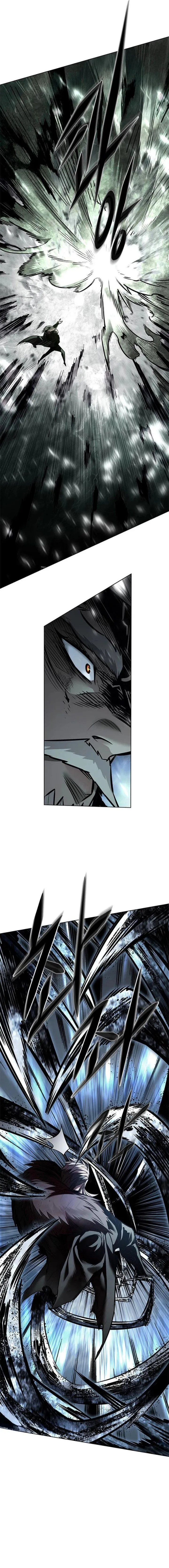 Panel 6