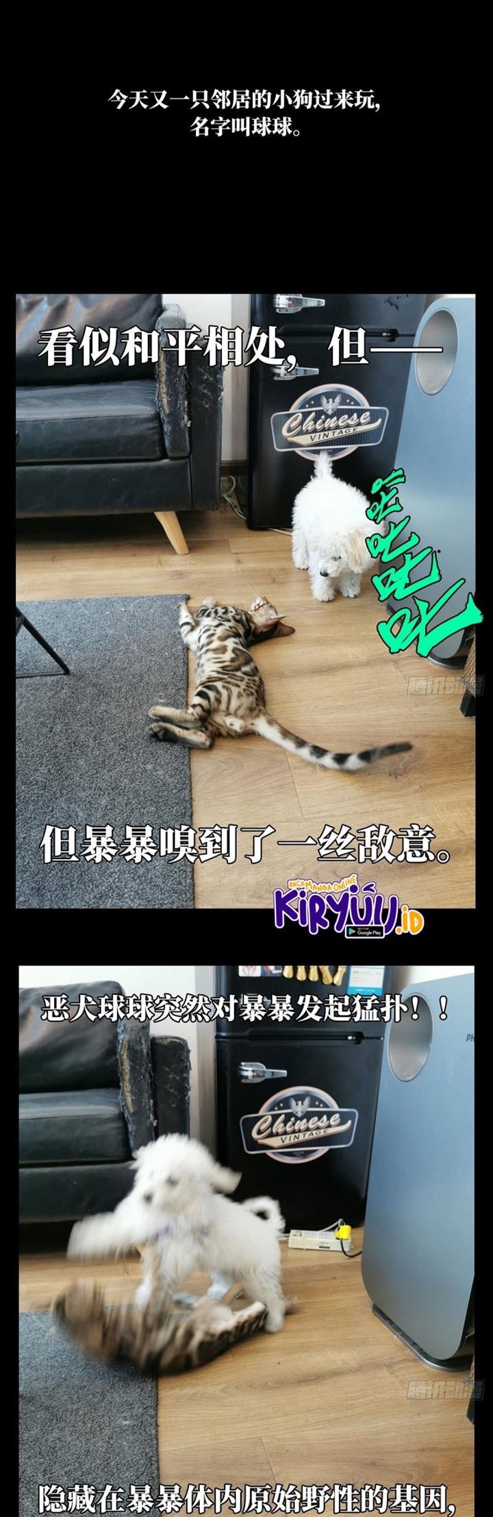 
              Da Xiang Wuxing             Chapter 72