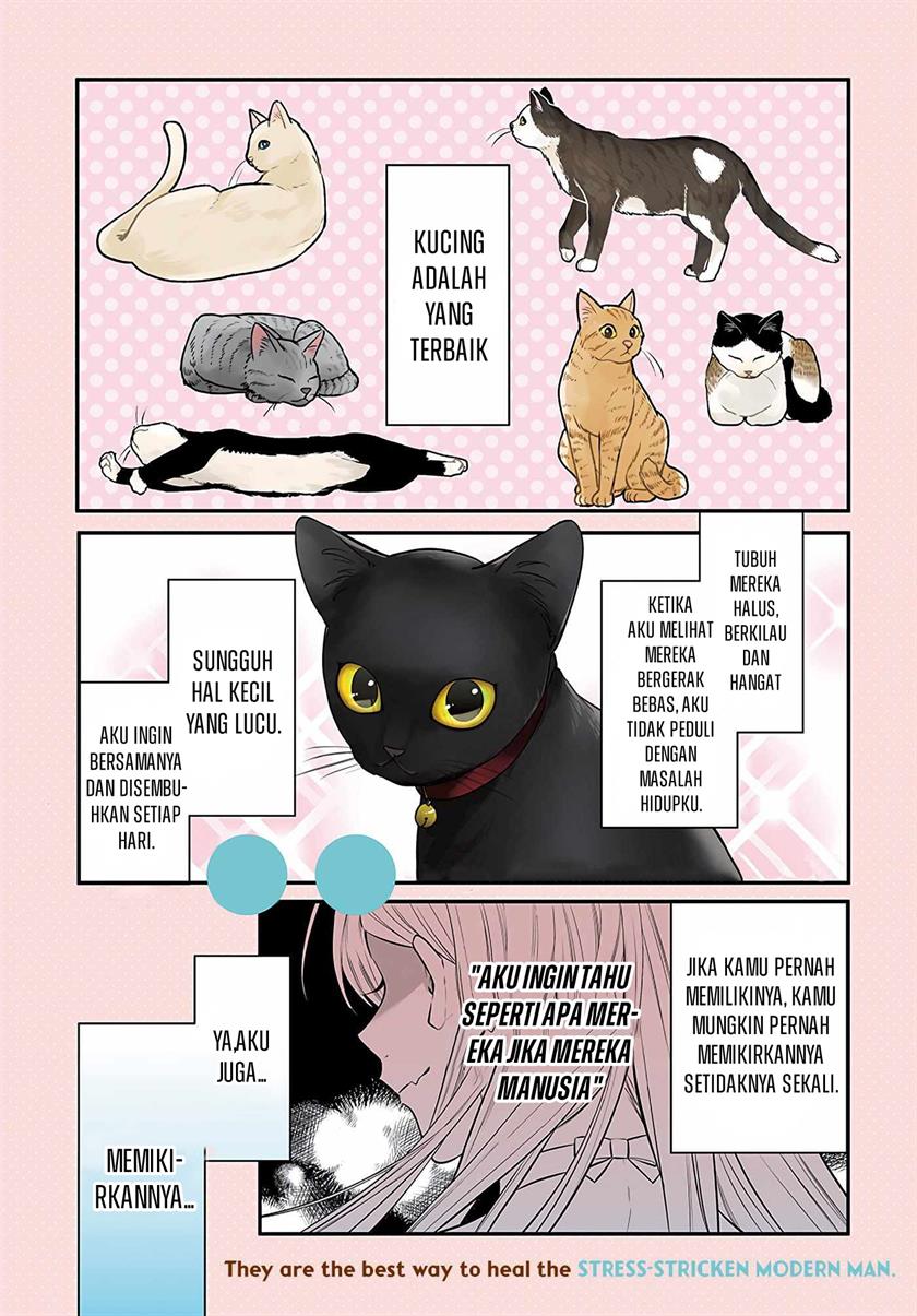 Mi-chan wa Kawaretai Chapter 01