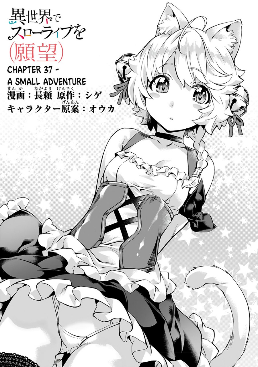 
              Isekai de Slow Life wo (Ganbou)             Chapter 37