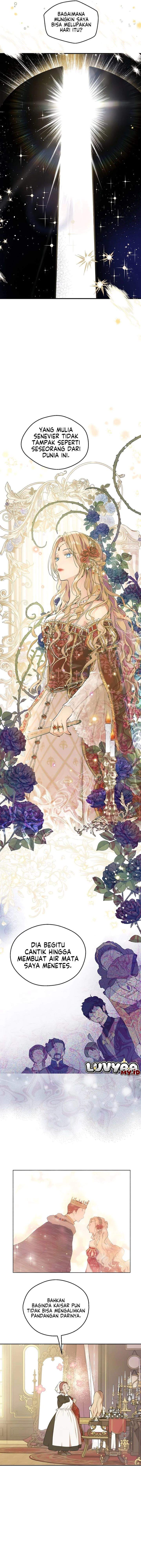 
              The Forgotten Field             Chapter 1