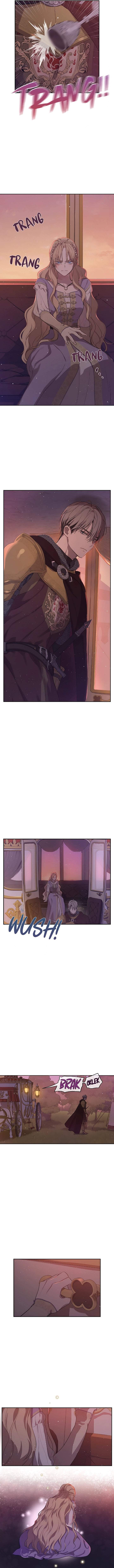 
              The Forgotten Field             Chapter 29